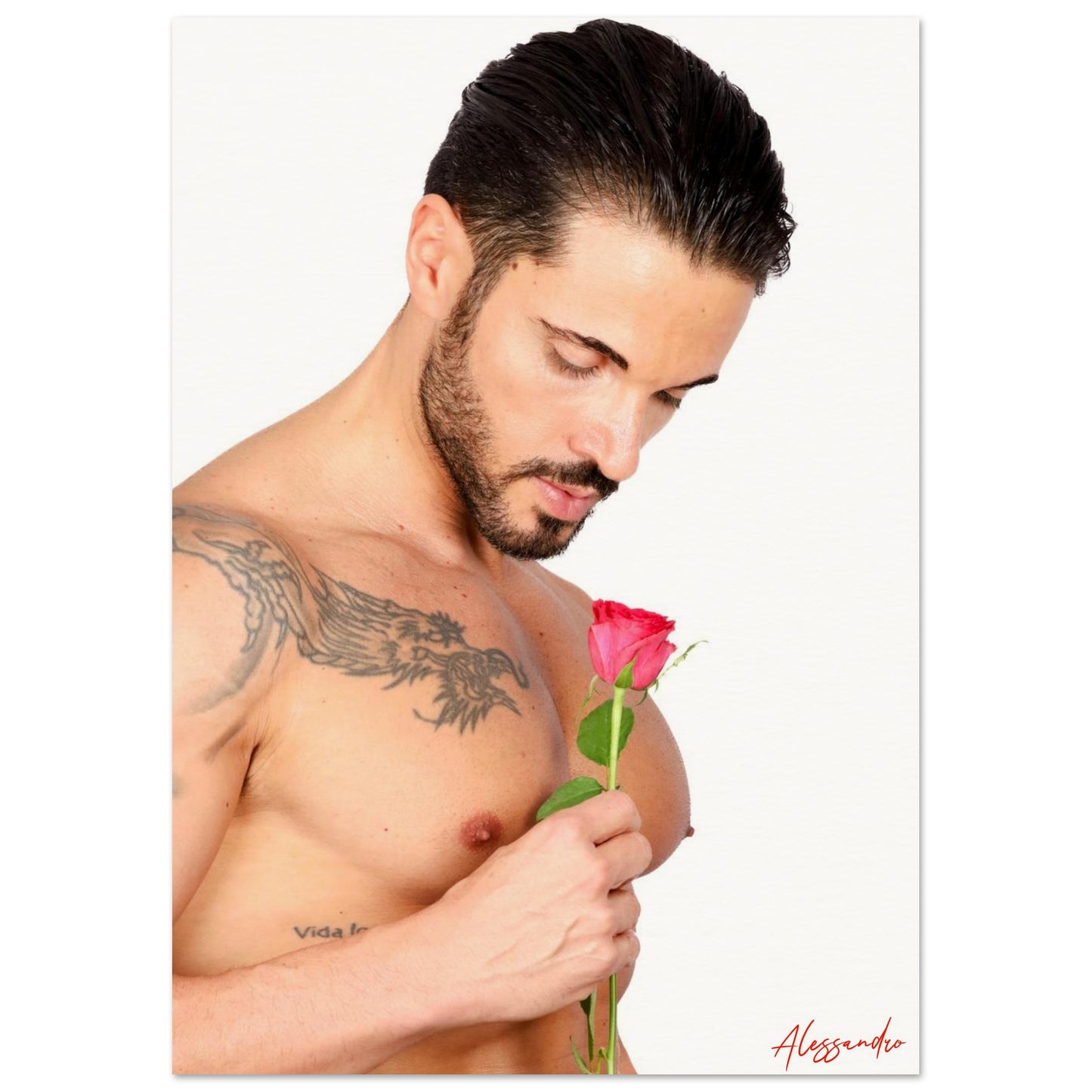 9cfa8872-dbb4-41ef-94e2-acf9eca9070c